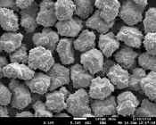 Sintético costado de Diamond Electro Plated Nickel Coated Diamond Micro Powder industrial